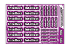 INTELLECT A5 STOCK SHEET