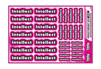 INTELLECT A5 STOCK SHEET