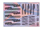 HOLOGRAPHIC MANSELTON MODELS A5 STOCK SHEET