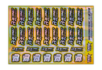 HOLOGRAPHIC RACING EXPERIENCE A5 STOCK SHEET