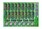 HOLOGRAPHIC RACING EXPERIENCE A5 STOCK SHEET