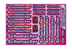 HOLOGRAPHIC SCHUMACHER A5 STOCK SHEET